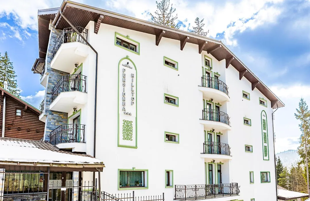 Pensiunea Hilltop-1